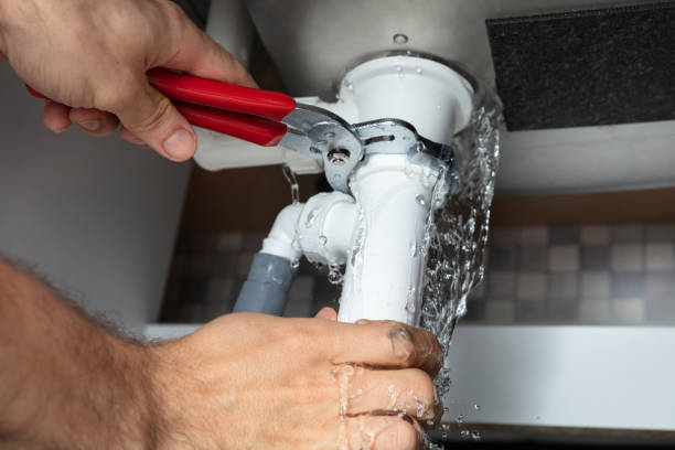 Best Mold removal after water damage  in Napa, CA