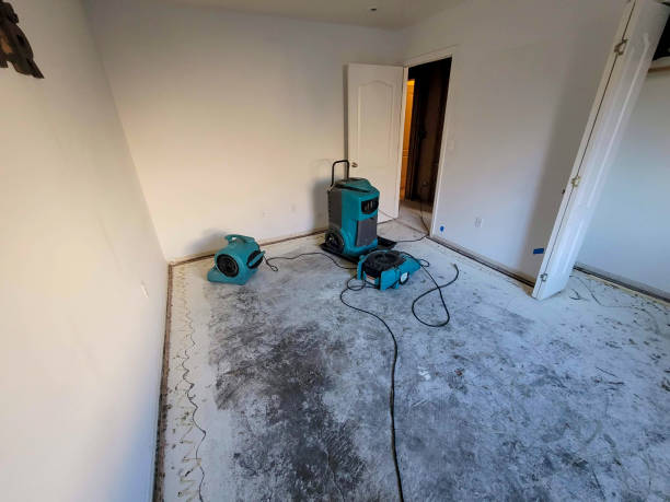Best Water damage cleanup near me  in Napa, CA