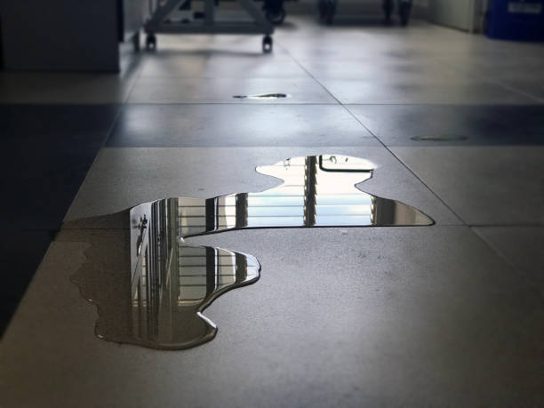 Best Water damage contractors near me  in Napa, CA