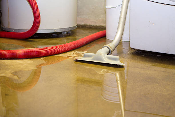 Best Fire Damage Restoration  in Napa, CA