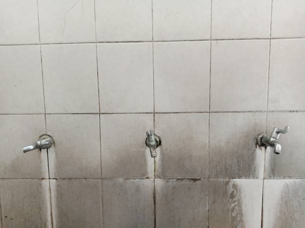 Best Water damage contractors near me  in Napa, CA