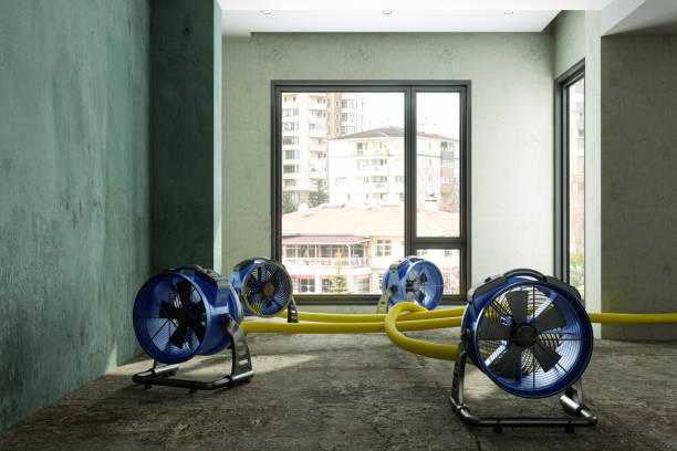 Best 24-hour water damage restoration  in Napa, CA